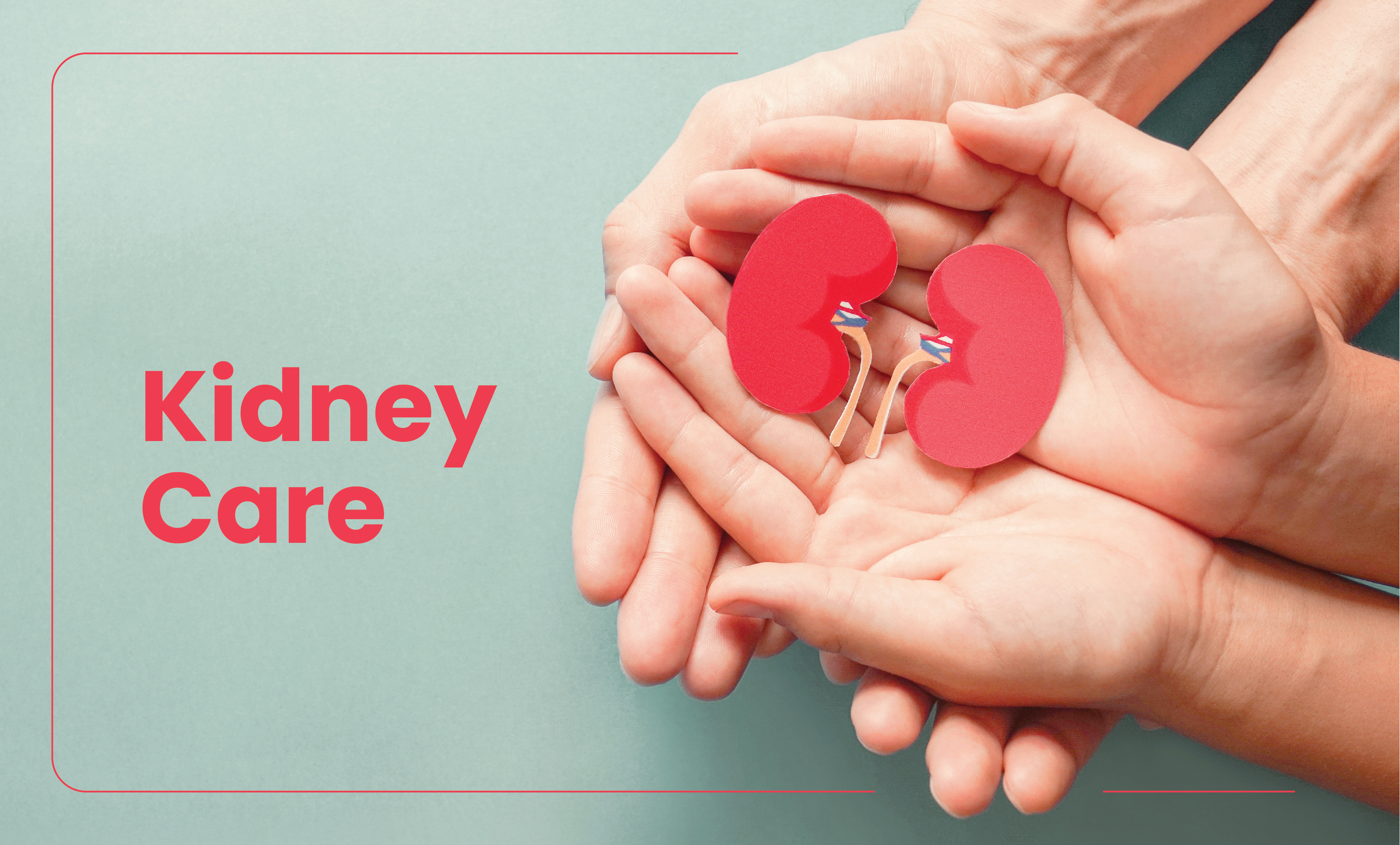 article on kidney care