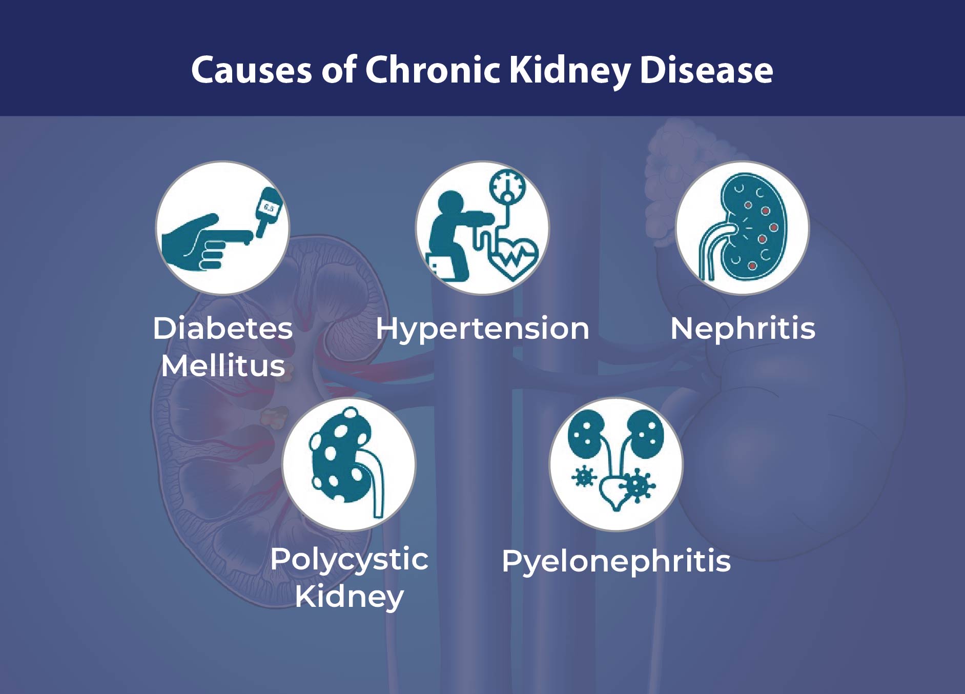 causes of chronic disease