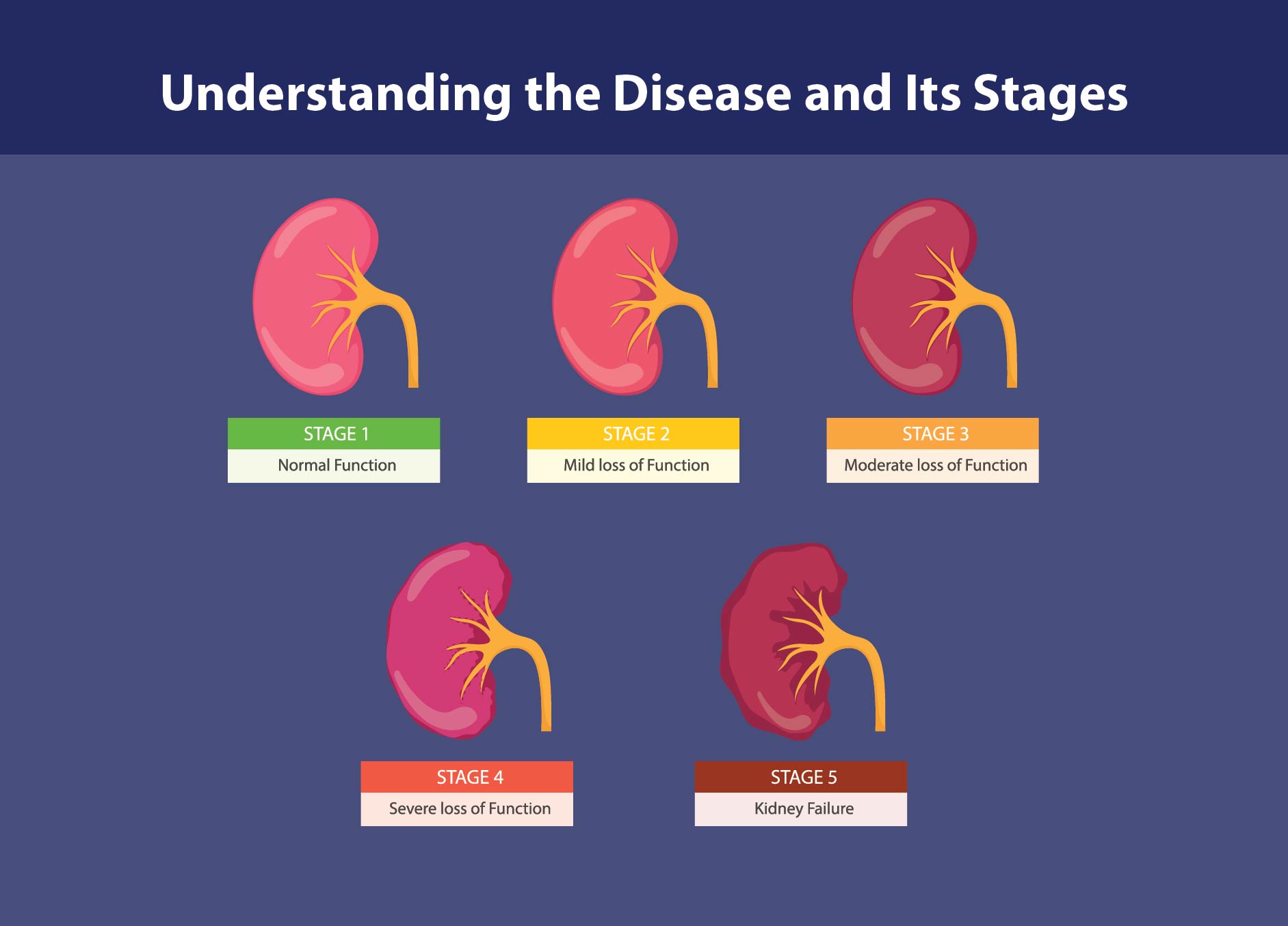 causes of chronic disease